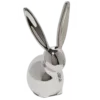 🐰