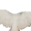 🪽