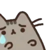 ⭐