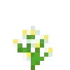 🌺