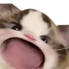 😠