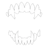 🦷