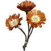 💐