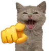 🫵