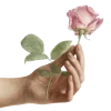 🥀