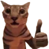👍