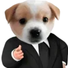 😎