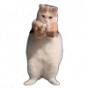 💃