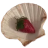 🐚