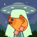 🛸