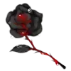 🌹