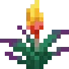 🌺