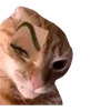 😼