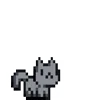🐈‍⬛