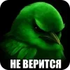 🐦