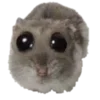 🐀