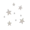 🌟