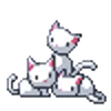 🐱
