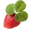 🍓
