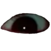 👁️