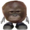 🐵