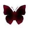 🦋