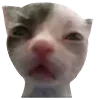 😣