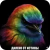🐦