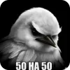 🐦