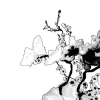🤩