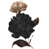 💐