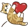 🐱