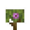 🌺