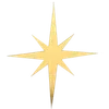 🌟