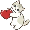 🐱