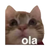 😮