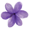 🌸