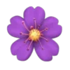 🌸
