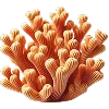 🪸