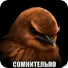 🐦