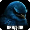 🐦