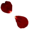 🌹