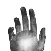 ✋