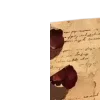 📖
