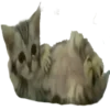 🐱