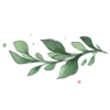 🌿