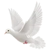 🕊