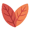 🍂
