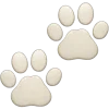 🐾
