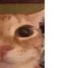 😌